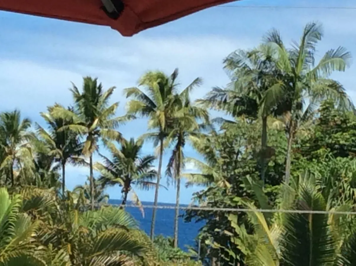 Mediteranean Style Ohana Rental / Loft & Sundeck Panoramic Ocean View Honolulu Landing