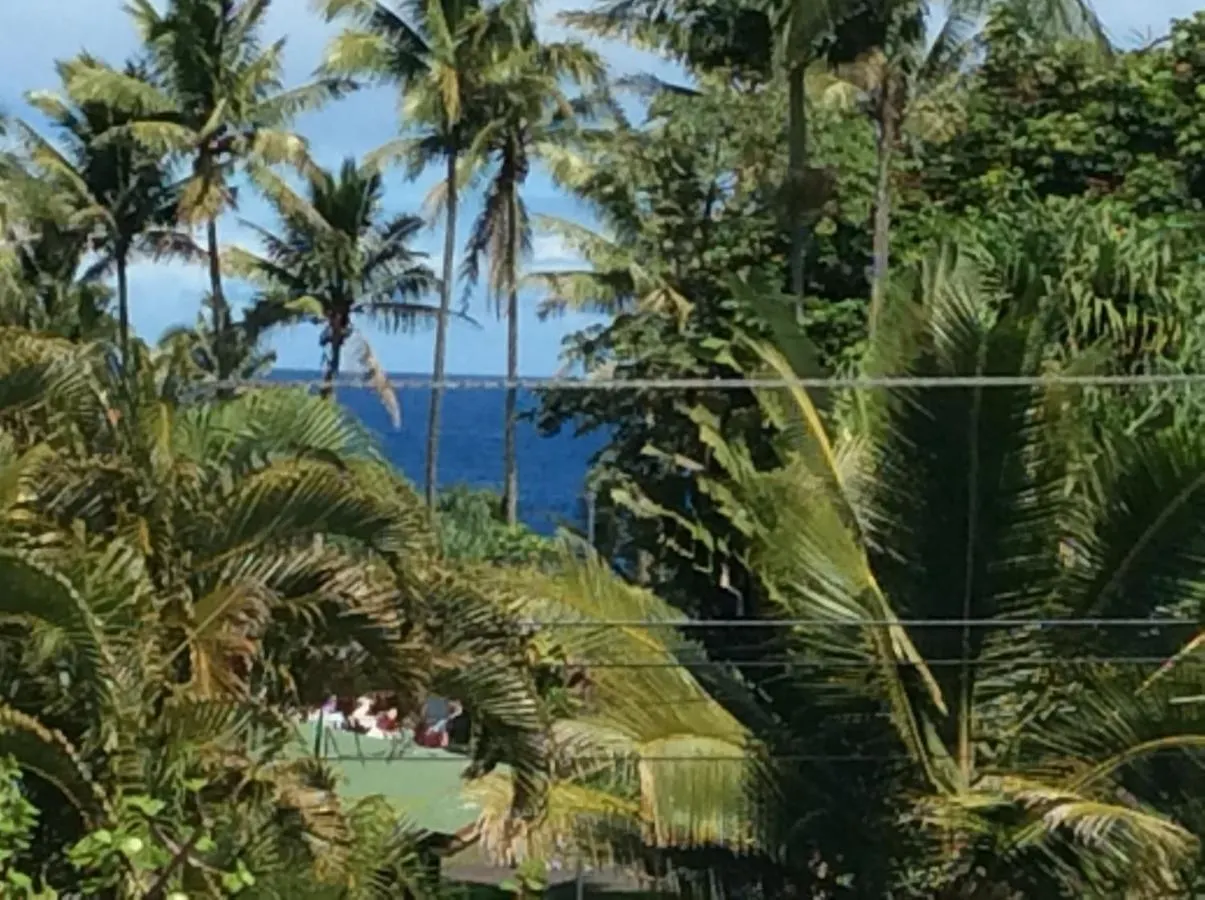 Mediteranean Style Ohana Rental / Loft & Sundeck Panoramic Ocean View Honolulu Landing USA